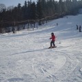 ferie zimowe 2012   (131)