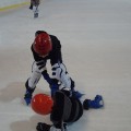 hokej (9)