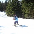 zima29