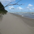 WP_20150710_002